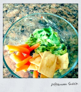 guacomole, organic baby carrots, and pita chips