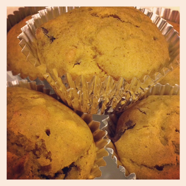 Pumpkin Chocolate Chip Muffins