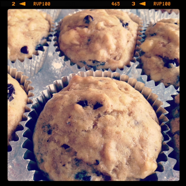 Cinnamon Chocolate Chip Banana Muffins